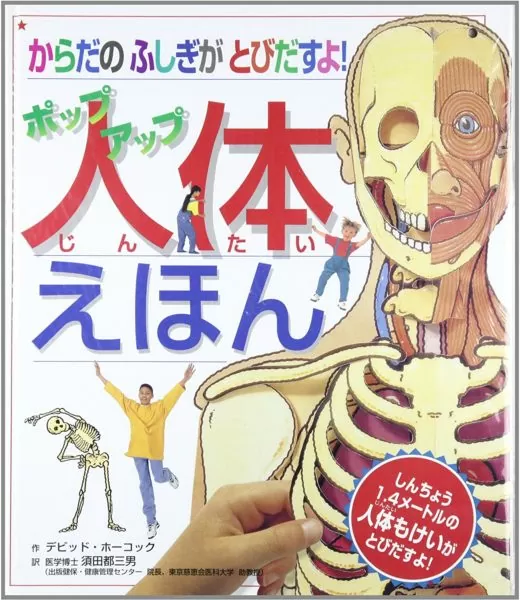 ポップアップ人体図鑑 : 等身大ポスターがとびだす! 91-2CGW6oL._AC_SL1500_-520x600