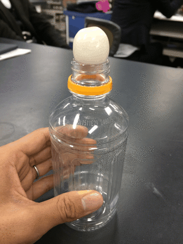 手を使わずにうずらの卵をペットボトルに入れる方法