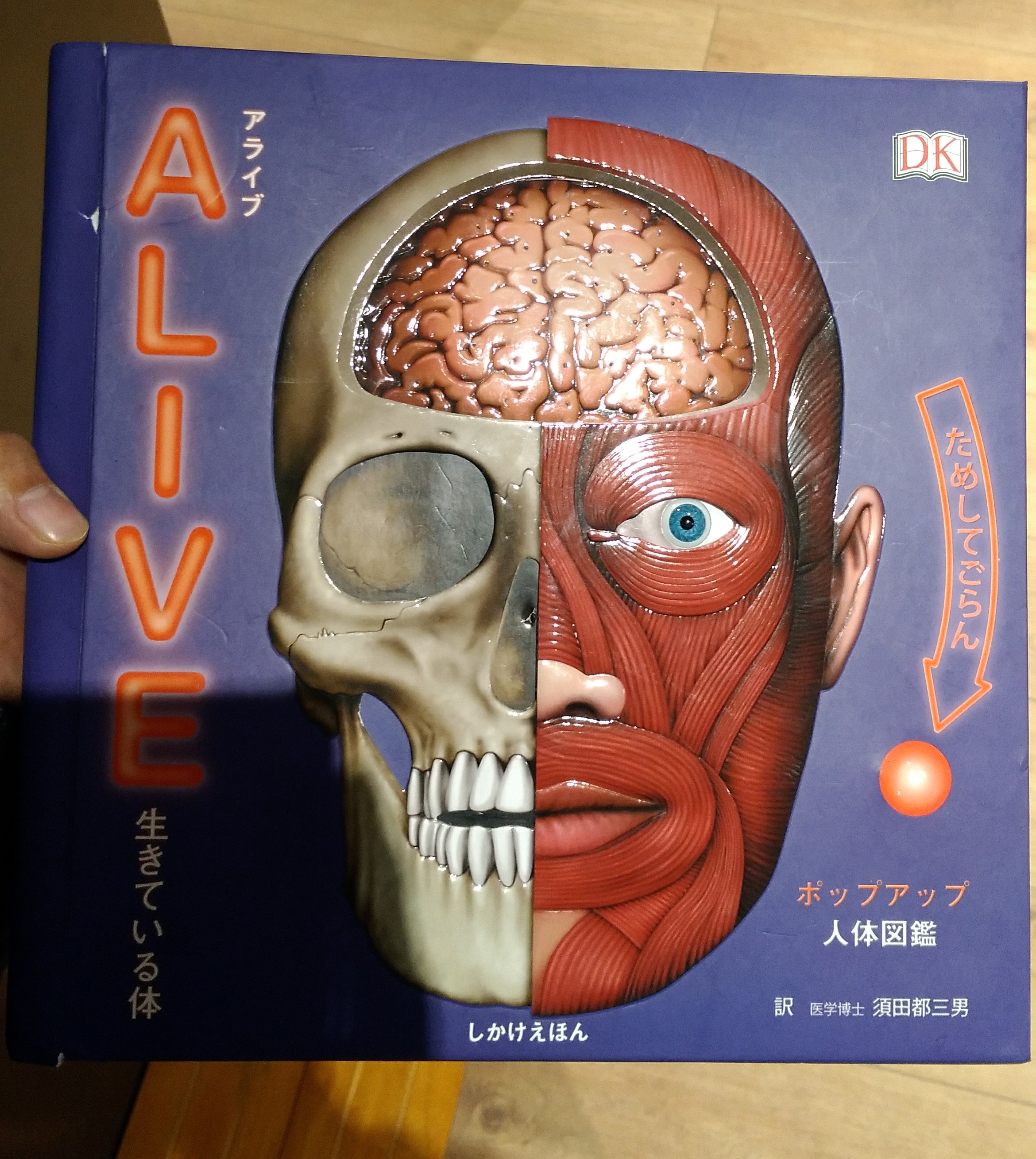 飛び出る絵本「ALIVE生きている体」がすごい
