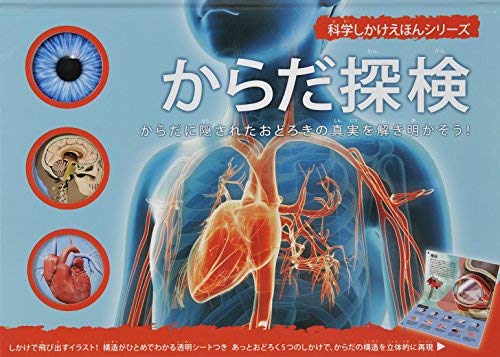 飛び出す絵本大日本絵画の「からだ探検」が面白い！ | ふたばのブログ