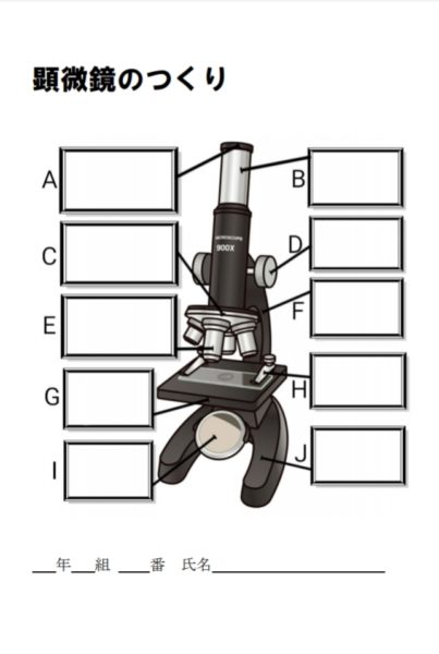 ふたばのワークシート1年 生物分野 ふたばのブログ 理科教育と道徳教育を科学する