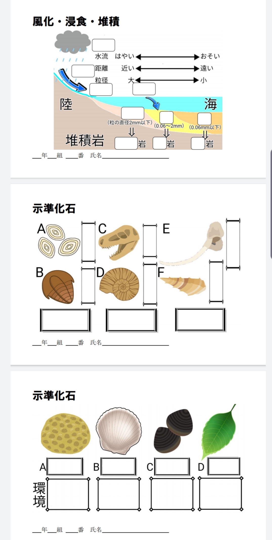 新鮮な必ず 出会える 人生 を 変える 言葉 00 最高の花の画像