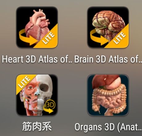 授業で使えるアプリ22「人体の構造について学べる4つのandroidアプリ」
