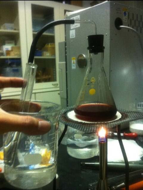 授業で見せたい動画63 ワインの蒸留実験
