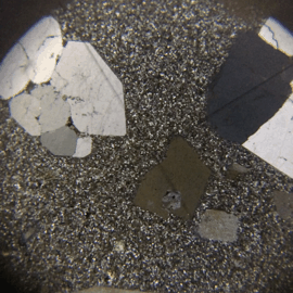 火成岩を偏光顕微鏡で観察