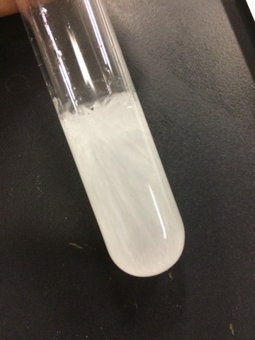 チオ硫酸ナトリウム（ハイポ）の結晶