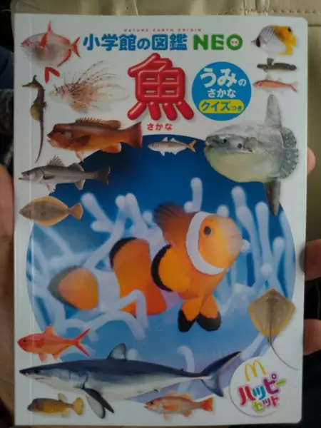 【３０冊】小学館の図鑑neo　ハッピーセット　２１世紀こども百科科学館　他 30冊】小学館の図鑑neo ハッピーセット 21世紀こども百科