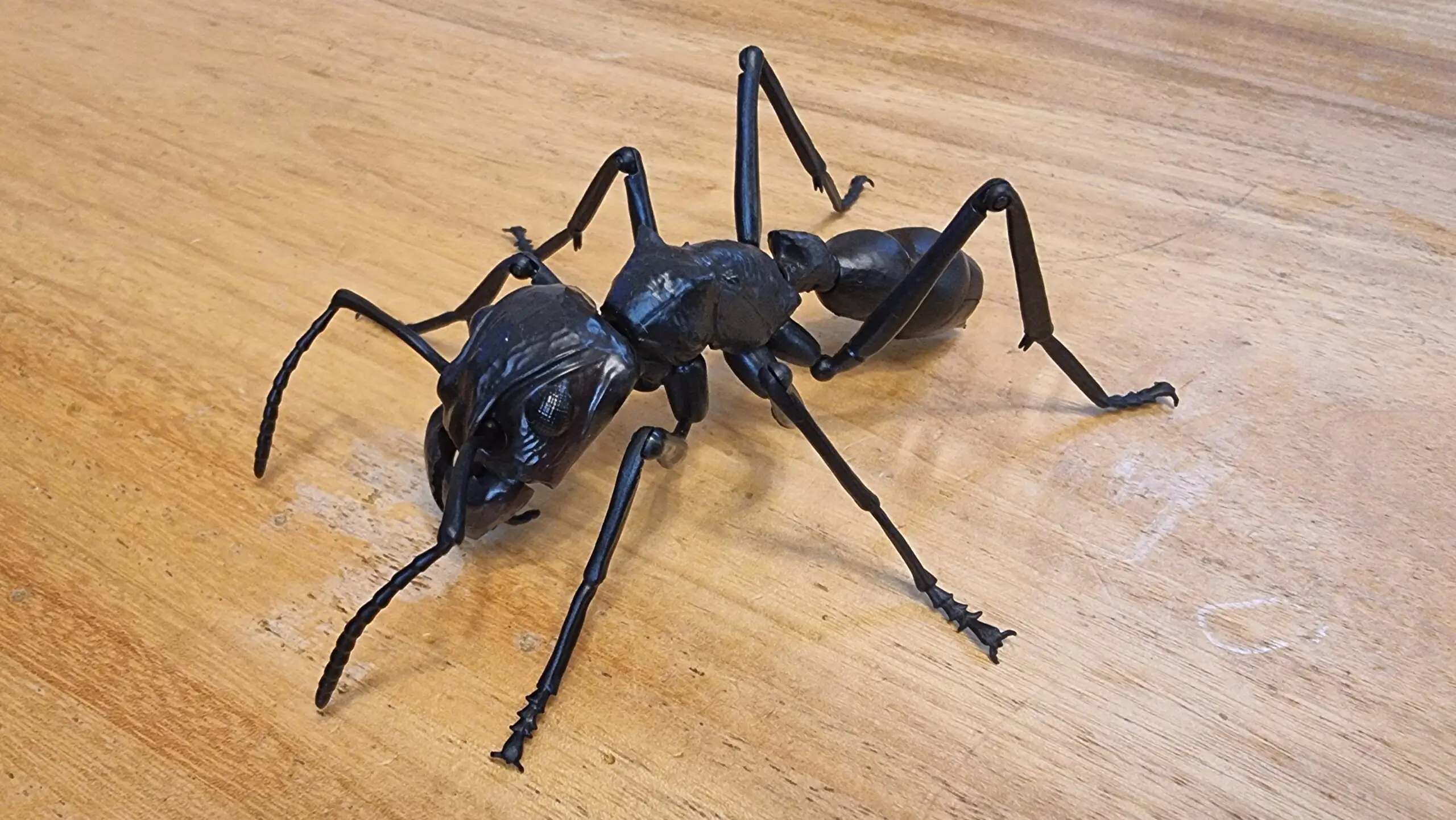 2023年初投稿はやっぱり科学ガチャ🐜！
