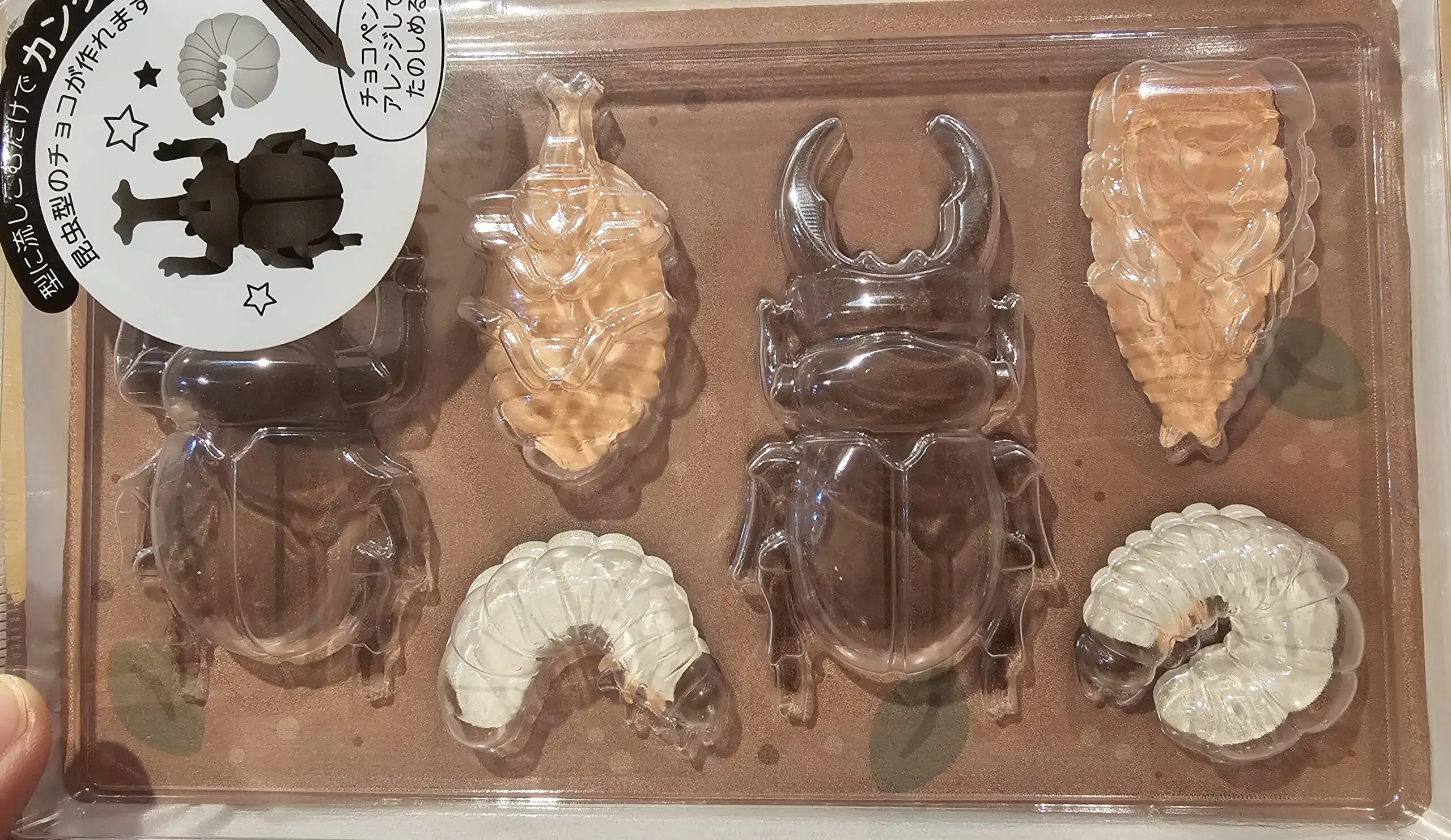 2024年のバレンタインはセリアが熱い！