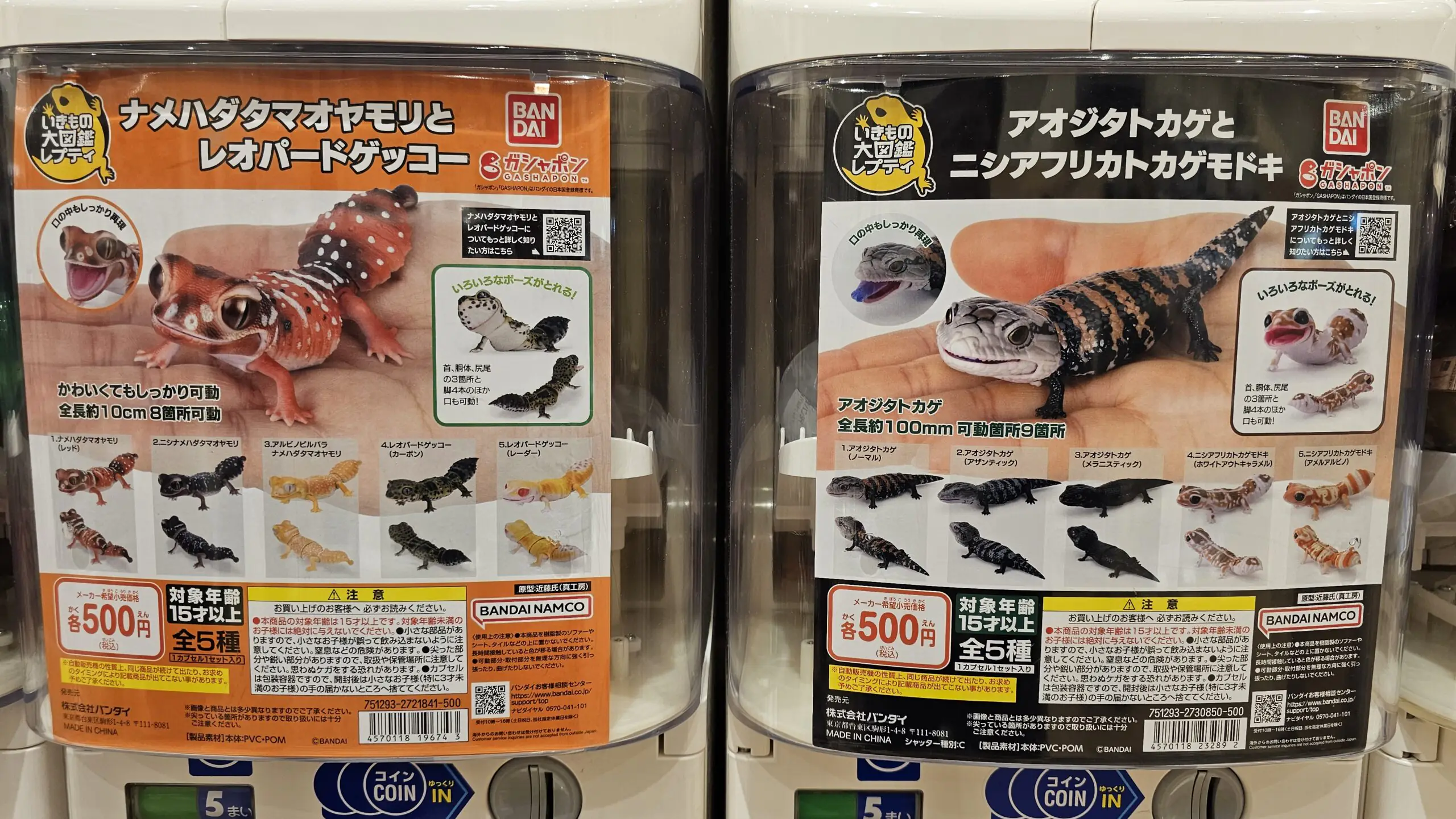 2024年はトカゲガチャが熱い！