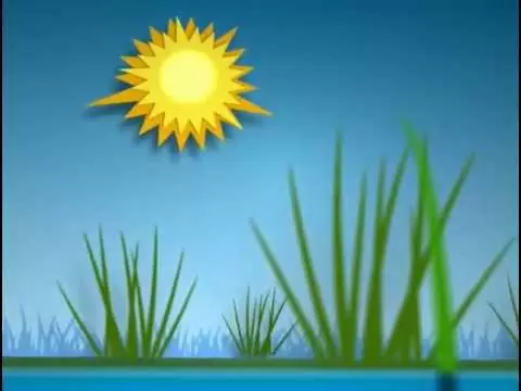 植物で発電？未来の発電所は水田かも•••。
