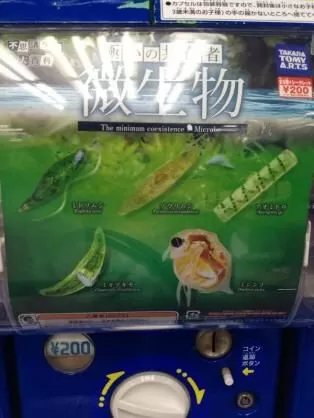 ♯Kri21Hz　カプセルQミクロコスモスプランクトン大全 全5種 Amazon.co.jp: ♯Kri21HzカプセルQミクロコスモスプランクトン