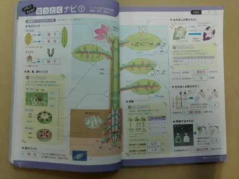 書画カメラ+付箋＝フリップボード