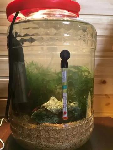 ふたばの夢 持続可能な個人用エコボールの製作 ふたばのブログ 理科教育と道徳教育を科学する ふたばの夢 持続可能な個人用エコボールの製作 ふたばのブログ 理科教育と道徳教育を科学する
