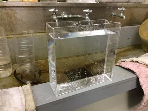 ミニアクリル水槽を手作り♩ | ふたばのブログ〜理科教育と道徳教育を科学する〜