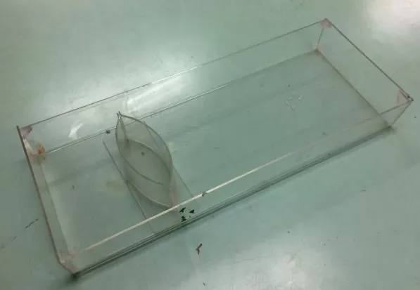 ミニアクリル水槽を手作り ふたばのブログ 理科教育と道徳教育を科学する